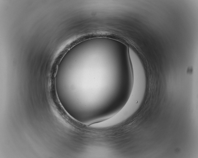 X0000113110726200909111114