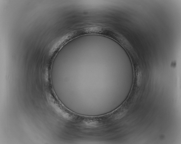 X0000113110729200909111114