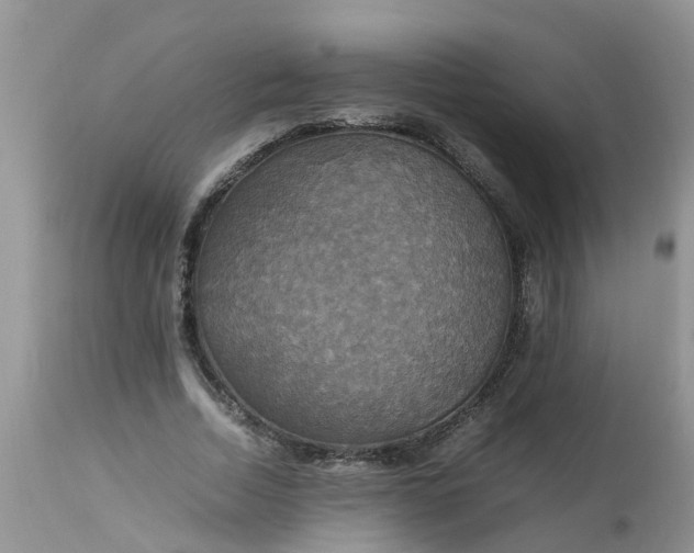 X0000113110730200909111114