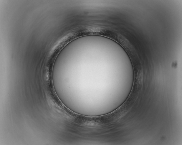 X0000113110731200909111114