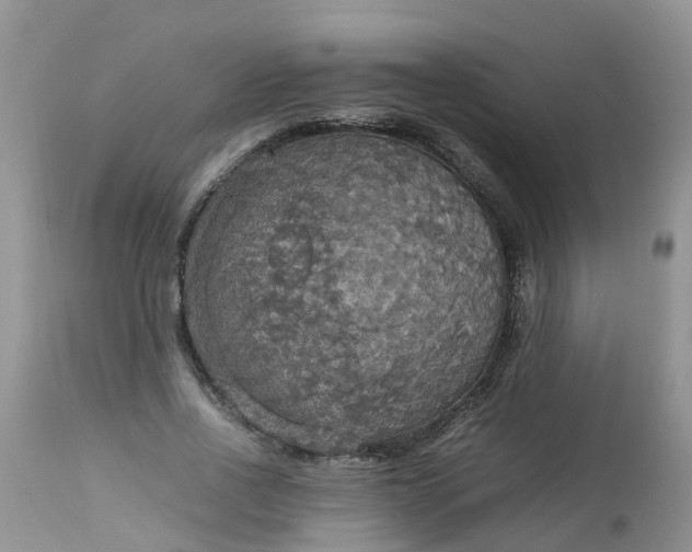 X0000113110734200909111114