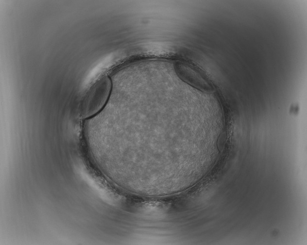 X0000113110736200909111115