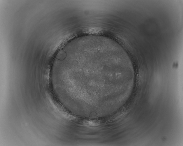 X0000113110739200909111115