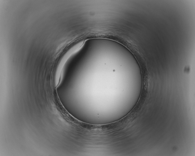 X0000113110740200909111115