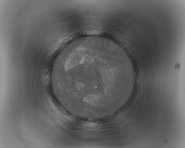 X0000113110743200909111115