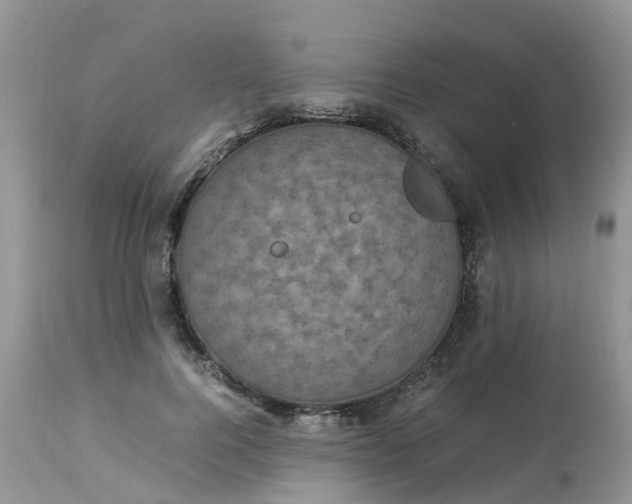 X0000113110744200909111115