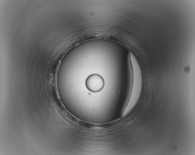 X0000113110748200909111115
