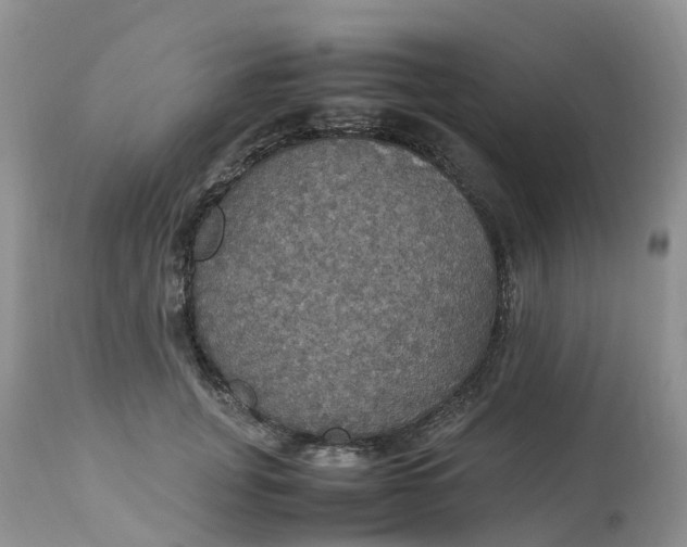 X0000113110751200909111115