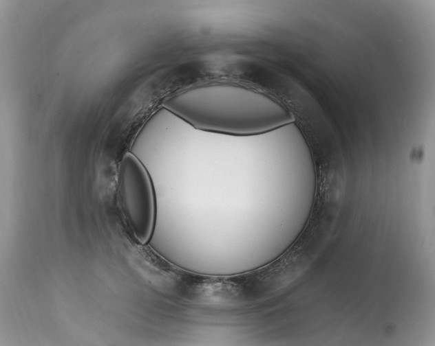 X0000113110752200909111115