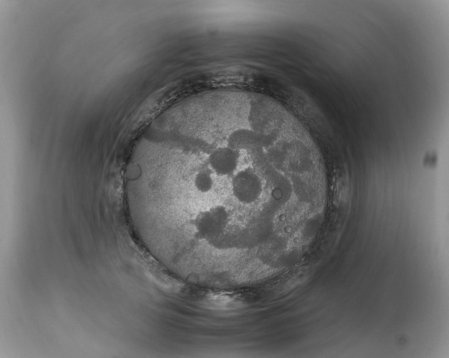 X0000113110753200909111115
