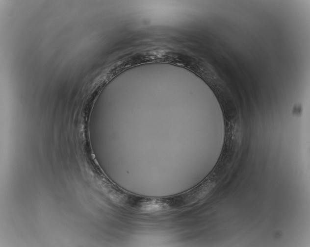 X0000113110754200909111115