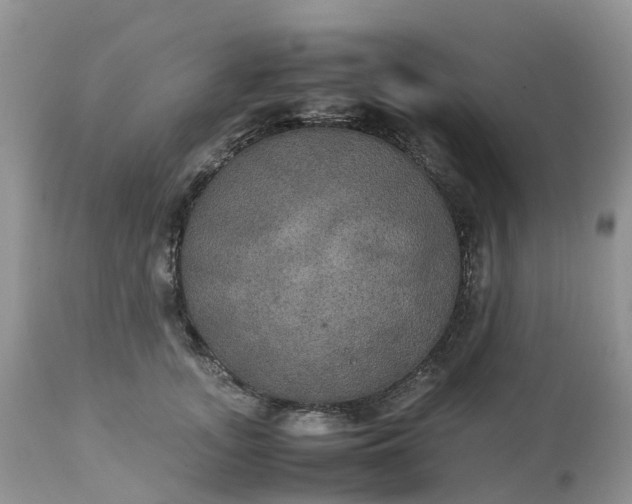X0000113110755200909111115