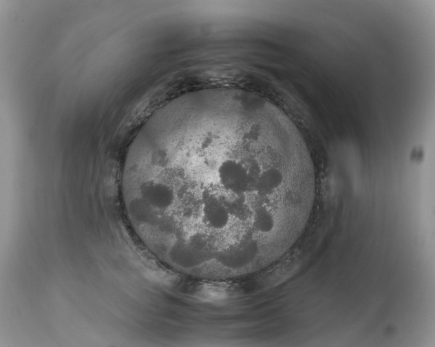 X0000113110757200909111115