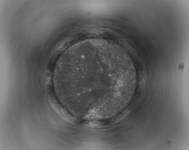 X0000113110758200909111115