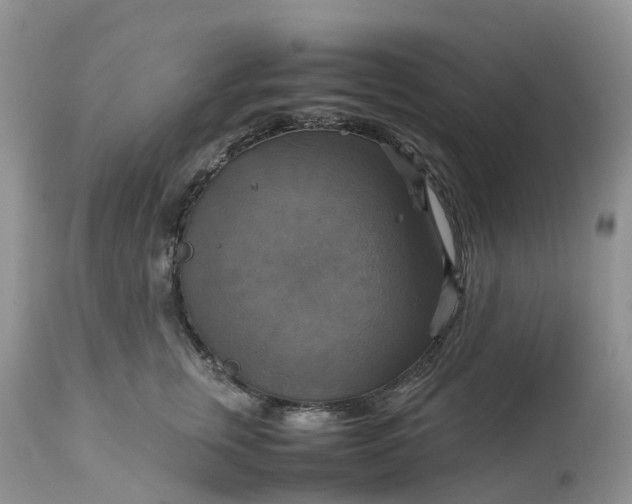 X0000113110759200909111115
