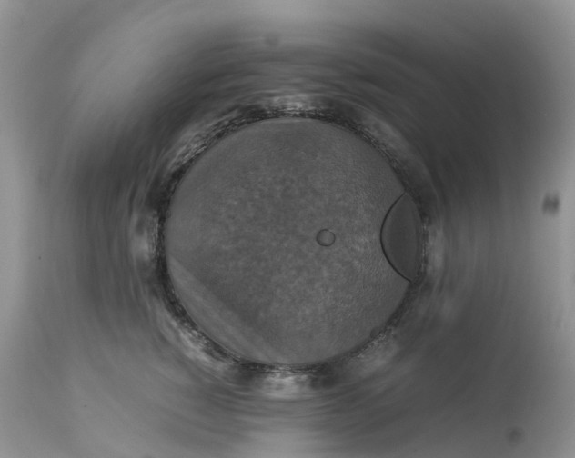 X0000113110760200909111115