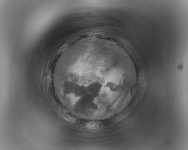 X0000113110761200909111115