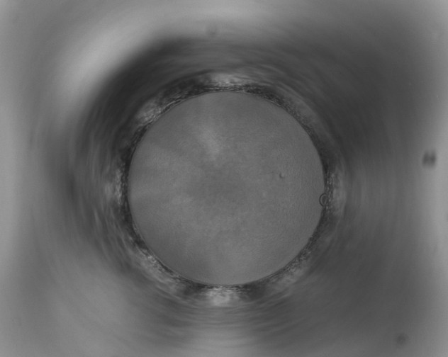 X0000113110762200909111115