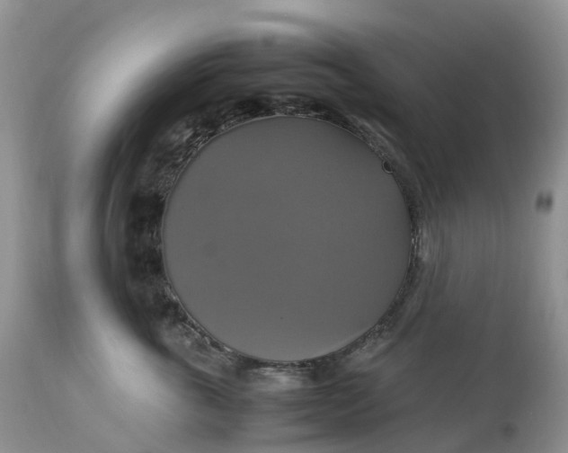 X0000113110763200909111115