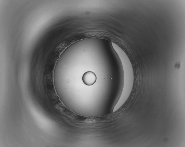 X0000113110764200909111115