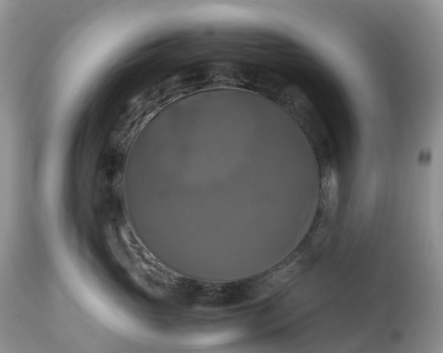 X0000113110765200909111115