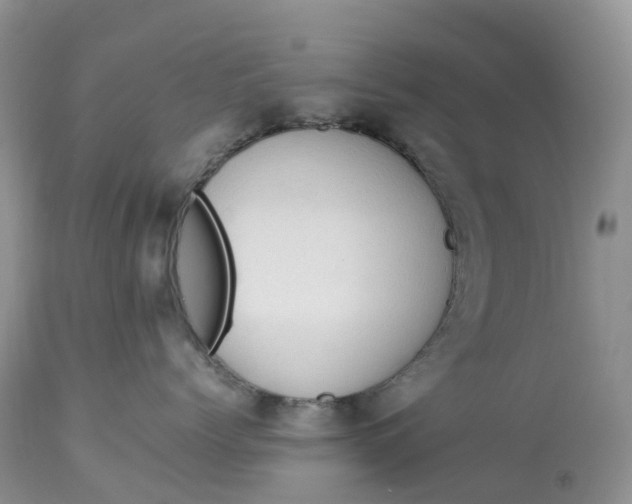 X0000113110768200909111115