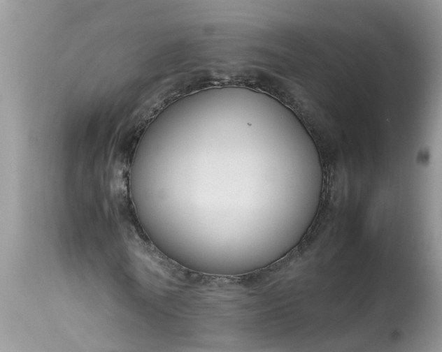 X0000113110770200909111114