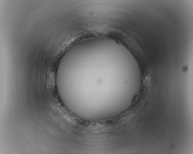 X0000113110772200909111114
