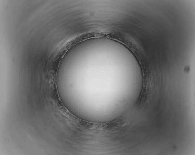 X0000113110773200909111114