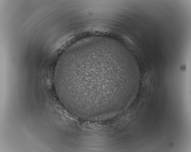 X0000113110774200909111114