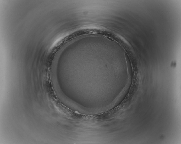 X0000113110775200909111114