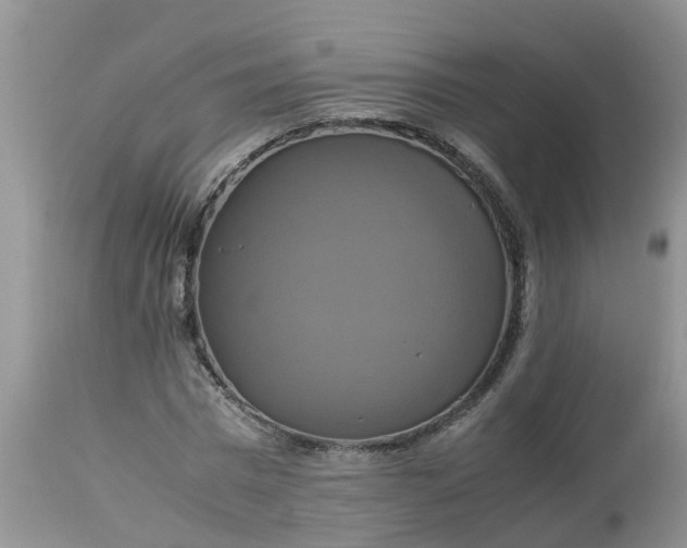 X0000113110777200909111114