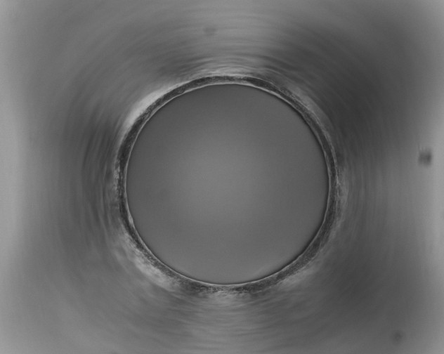 X0000113110779200909111114