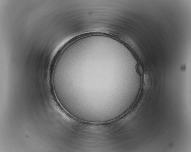 X0000113110780200909111114