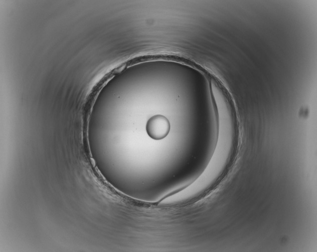 X0000113110781200909111114