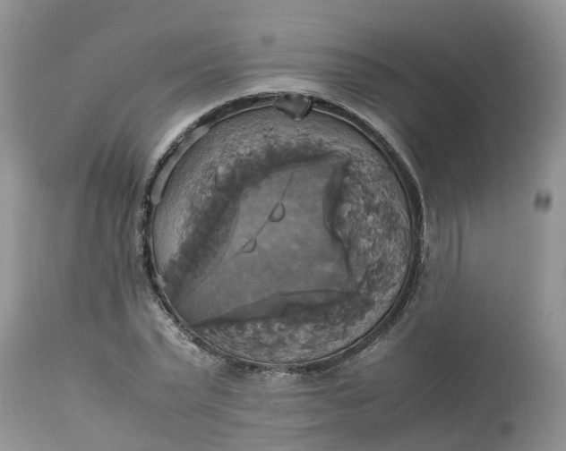 X0000113110783200909111114