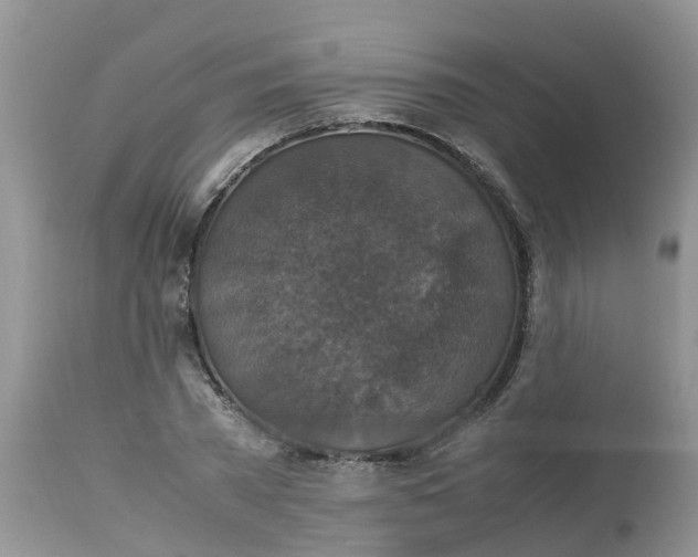 X0000113110785200909111114