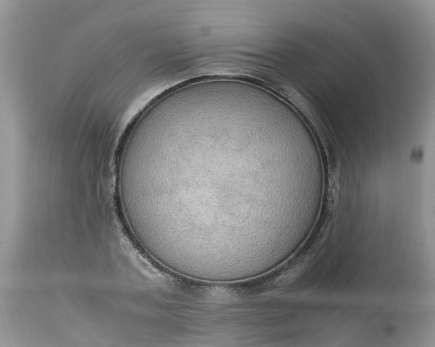 X0000113110787200909111114