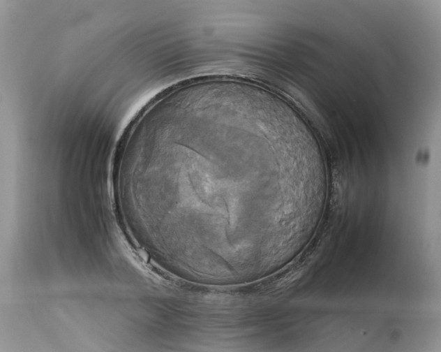 X0000113110788200909111114