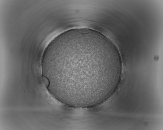 X0000113110789200909111114