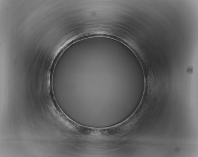 X0000113110790200909111114
