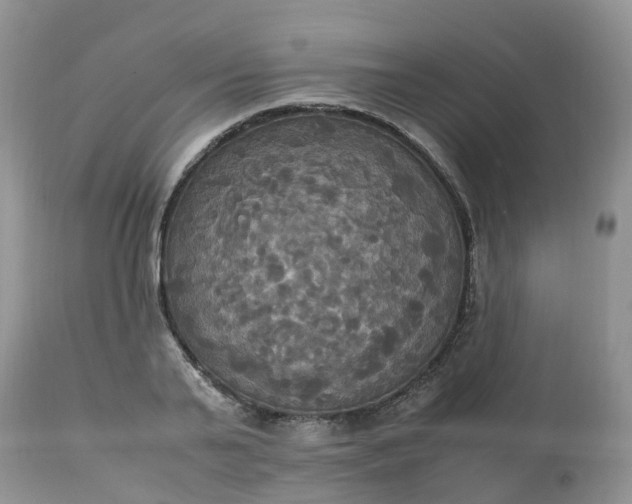 X0000113110791200909111114