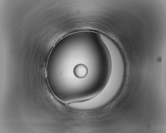 X0000113110793200909111114