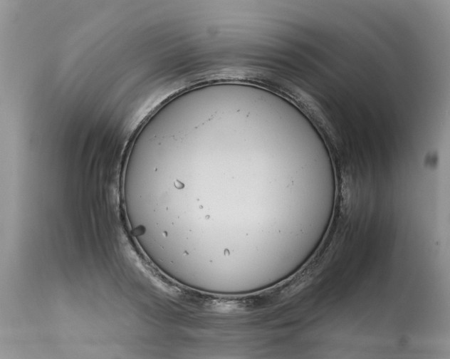 X0000113110794200909111114