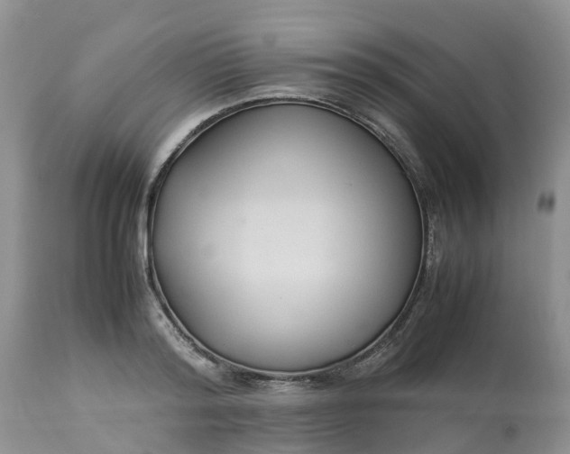 X0000113110796200909111114