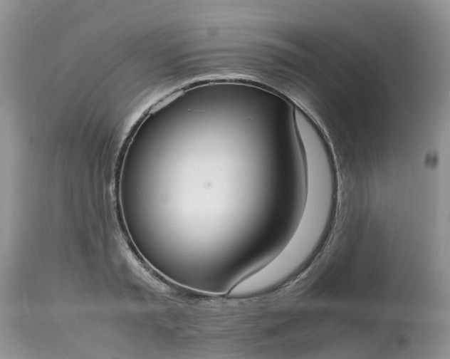 X0000113110797200909111114