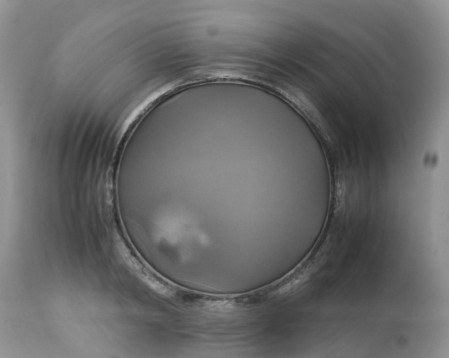 X0000113110798200909111114