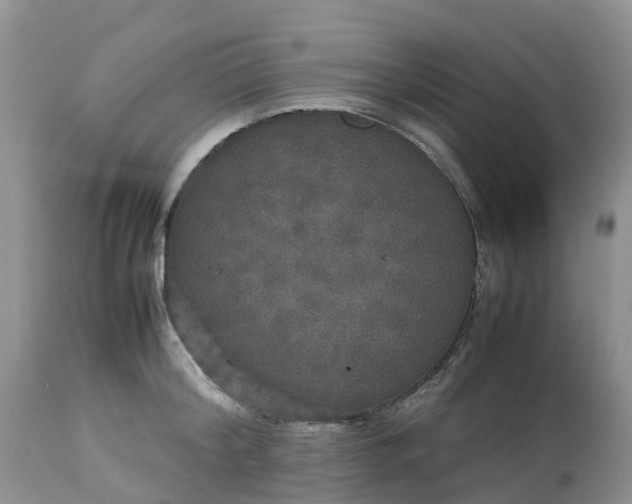 X0000113110804200909111114