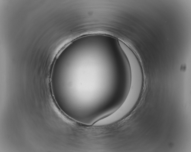X0000113110805200909111114
