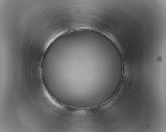 X0000113110806200909111114